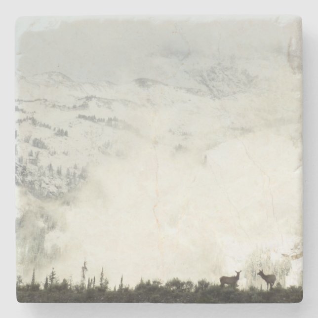 Elk i Grand Teton National Park-foto Stenunderlägg (Framsidan)