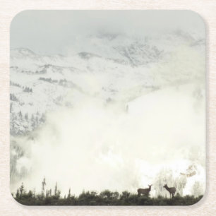 Elk i Grand Teton National Park-foto Underlägg Papper Kvadrat