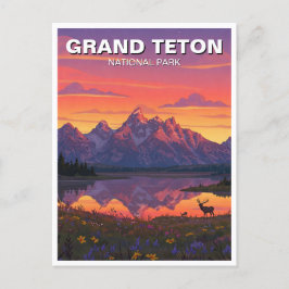 Elk i Grand Teton nationalpark Vykort