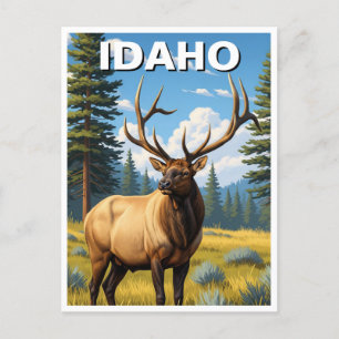 Elk i Idaho Vykort