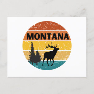 Elk i Montana Vykort