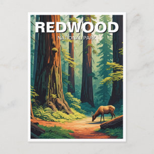 Elk i Redwood National Park Souvenir Vykort