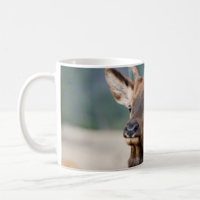 ELK I ROCKY MOUNTAIN NATIONAL PARK - ELK HERDS GR KAFFEMUGG (Vänster)