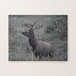 Elk i Rocky Mountain National Park Puzzle Pussel