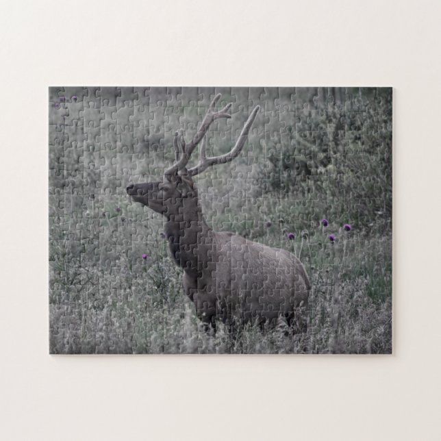Elk i Rocky Mountain National Park Puzzle Pussel (Horisontell)