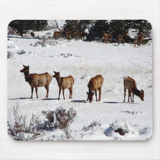 Elk i snö mousepad musmatta (Framsidan)