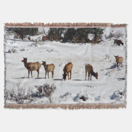 Elk i snö-täckfilt filt