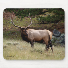 Elk i Vilden Mousepad Musmatta