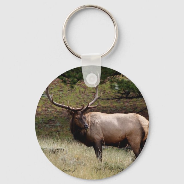Elk i Vilden Nyckelring (Framsida)
