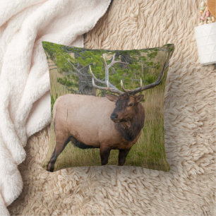 Elk Lake Village Yellowstone National Park Wyoming Kudde
