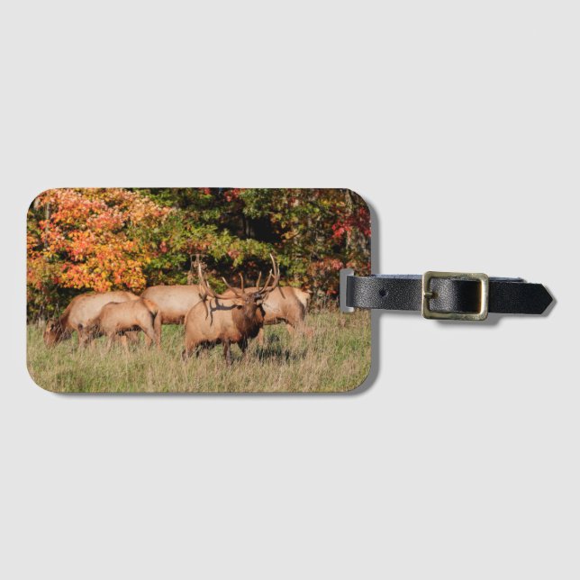 Elk Luggage Tag Bagagebricka (Framsida horisontal)
