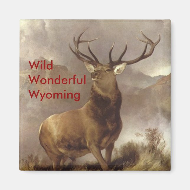 ELK MAGNETS MOUNTAIN "VILD WONDERFUL WYOMING" MAGNET (Framsidan)