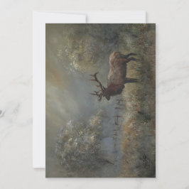 Elk Meadow All Occasion Tack Kort