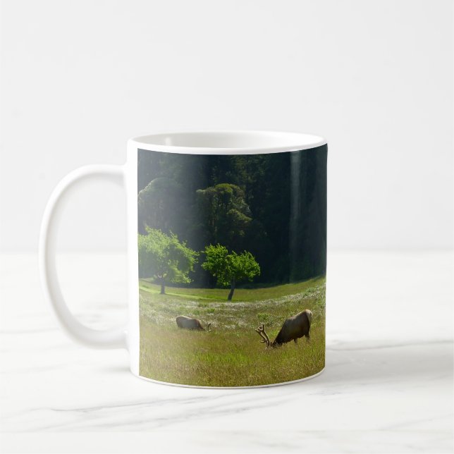 Elk Meadow vid nationalparken Redwood Kaffemugg (Vänster)