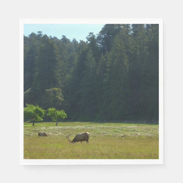 Elk Meadow vid nationalparken Redwood Pappersservett (Framsidan)