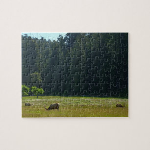 Elk Meadow vid nationalparken Redwood Pussel