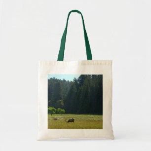 Elk Meadow vid nationalparken Redwood Tygkasse