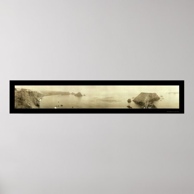 Elk Mendocino CA Photo 1911 Poster (Framsidan)