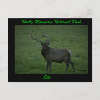 Elk, Milner Pass Vykort