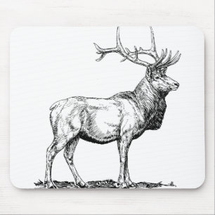 Elk Moose Hjort Head Animal Hunting Antlers Musmatta