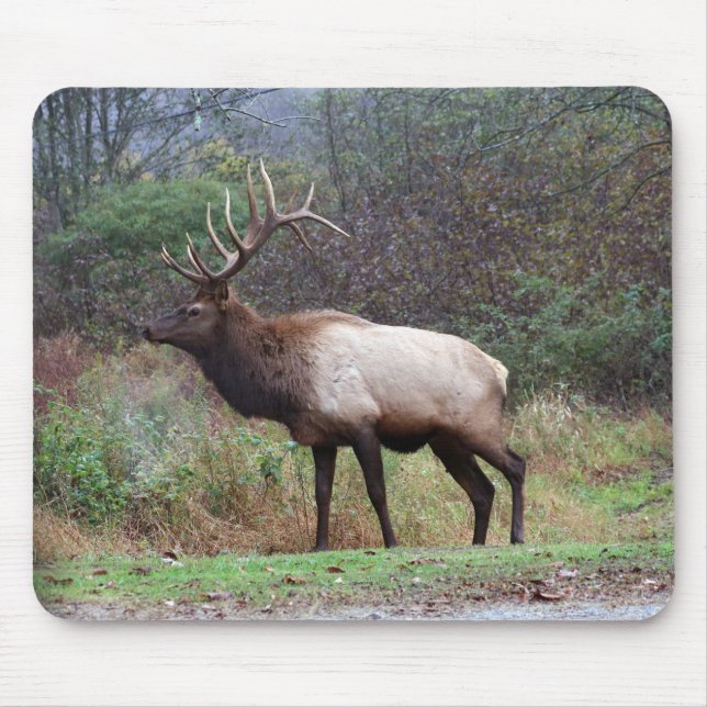Elk Mousepad Musmatta (Framsidan)