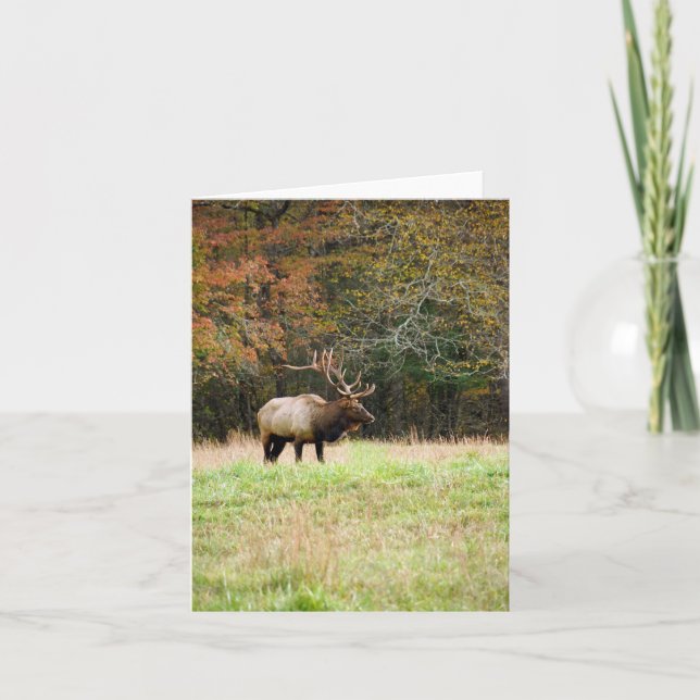 Elk Notecard Kort (Framsida)