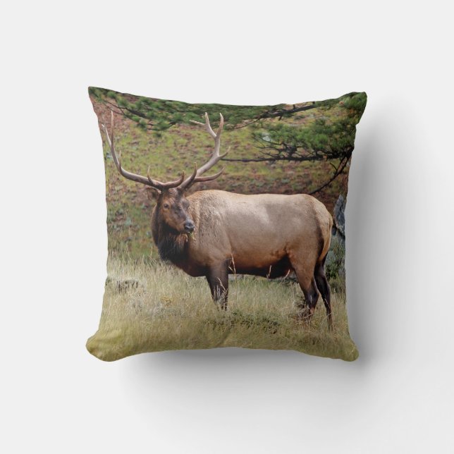 Elk på en Pillow Kudde (Framsida)