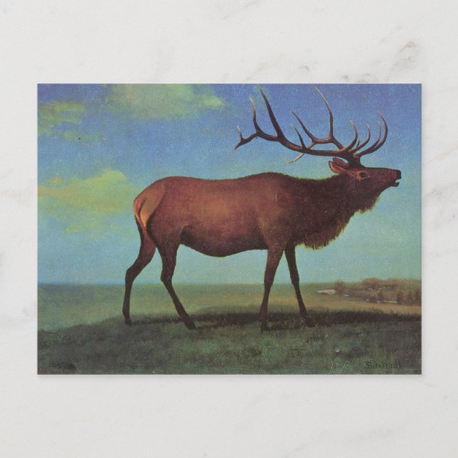 Elk Painting Vykort (Framsida)