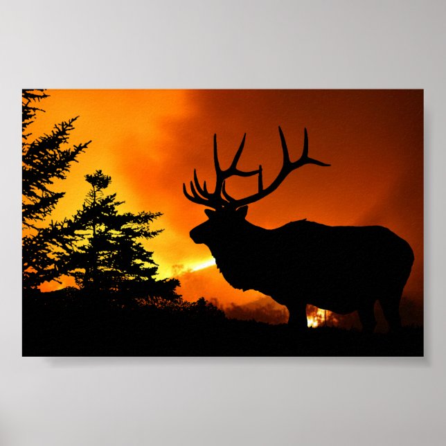 Elk Poster (Framsidan)