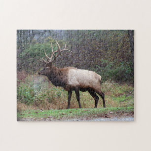 Elk Pussel