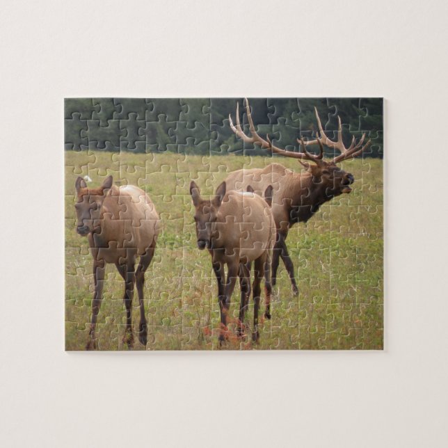 Elk Puzzle Pussel (Horisontell)