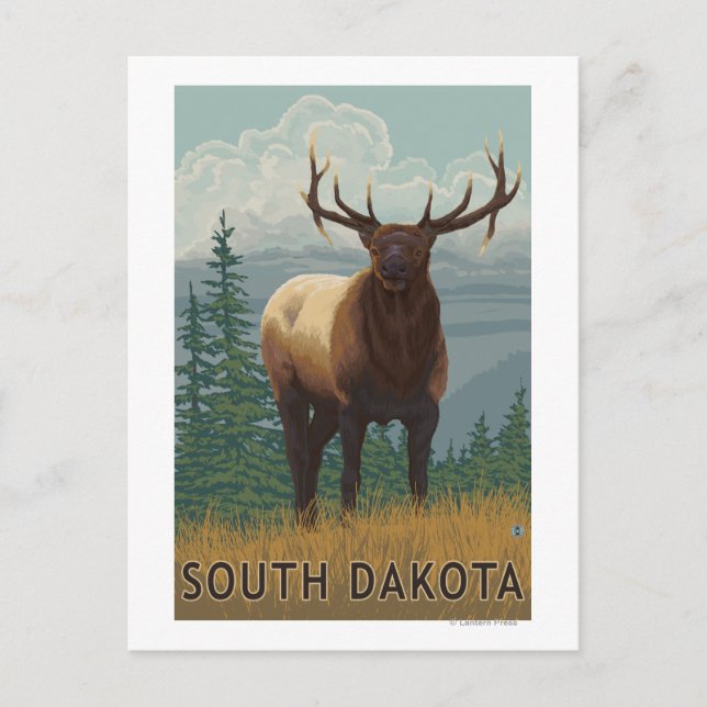Elk SceneSouth Dakota Vykort (Framsida)