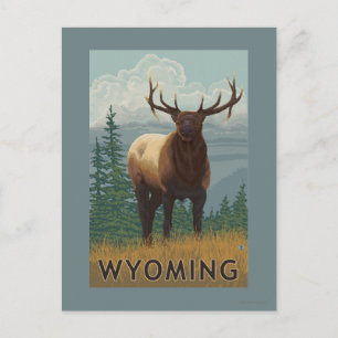 Elk SceneWyoming Vykort