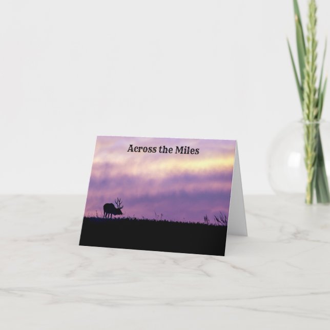 Elk Silhouette på Sunset Greeting Card Tack Kort (Framsida)