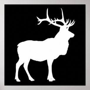 Elk Silhouette Poster