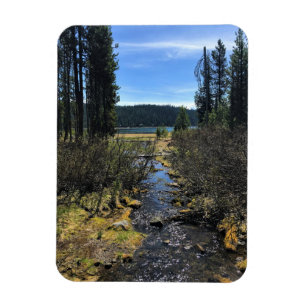 Elk Sjö, ELLER Magnet