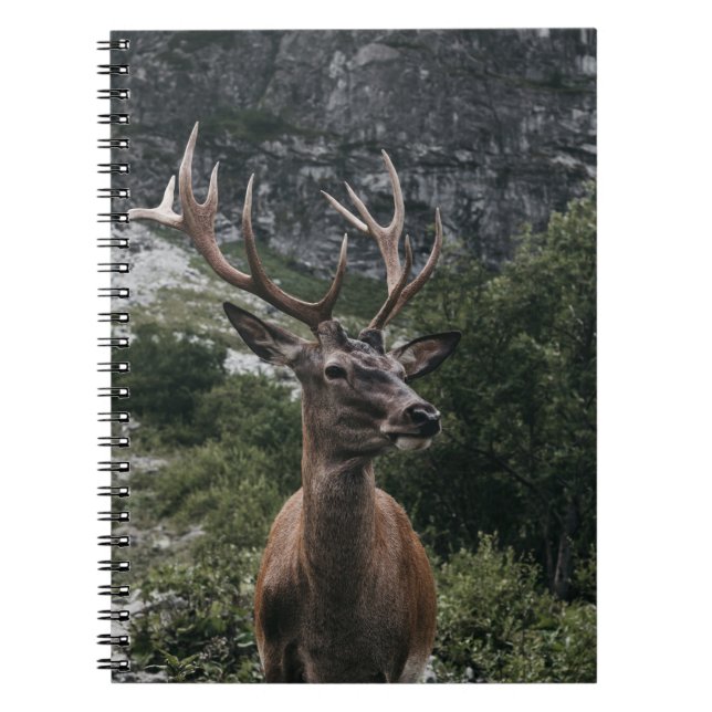 ELK STACK HJORT ANTECKNINGSBOK (Framsidan)