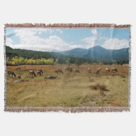 Elk-täckande vinkel proffsfilt filt