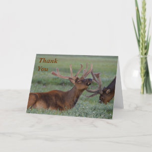 elk Tackkort