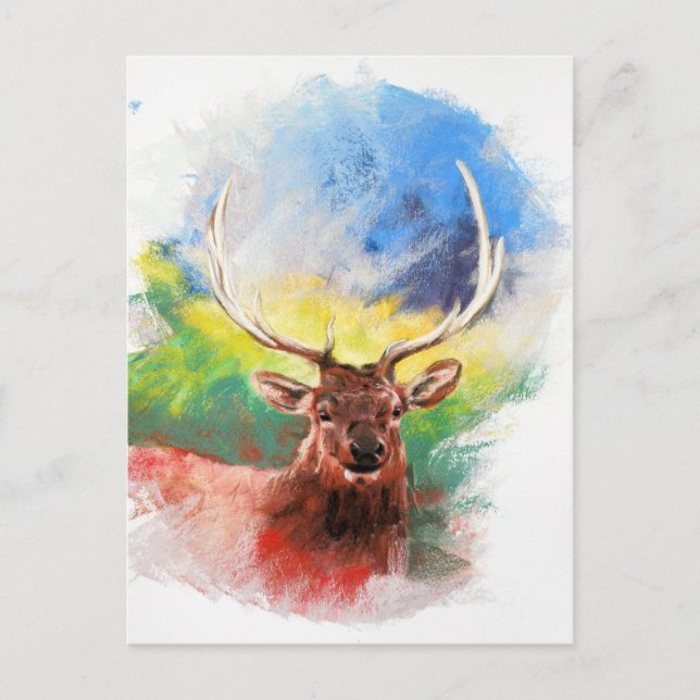 Elk Vykort (Framsida)