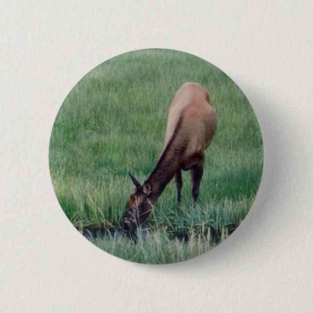 Elk-Yellowstone Knapp (Framsida)