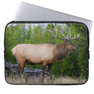 Elk   Yellowstone National Park, Wyoming Laptop Fodral