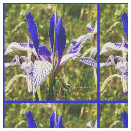 Elkhorn Mountain Iris Tyg