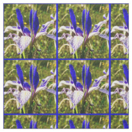 Elkhorn Mountain Iris Tyg