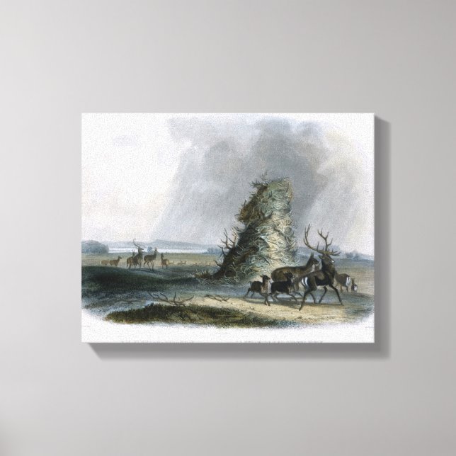 Elkhorn Pyramid på Övre Missouri, platta 2 Canvastryck (Framsida)