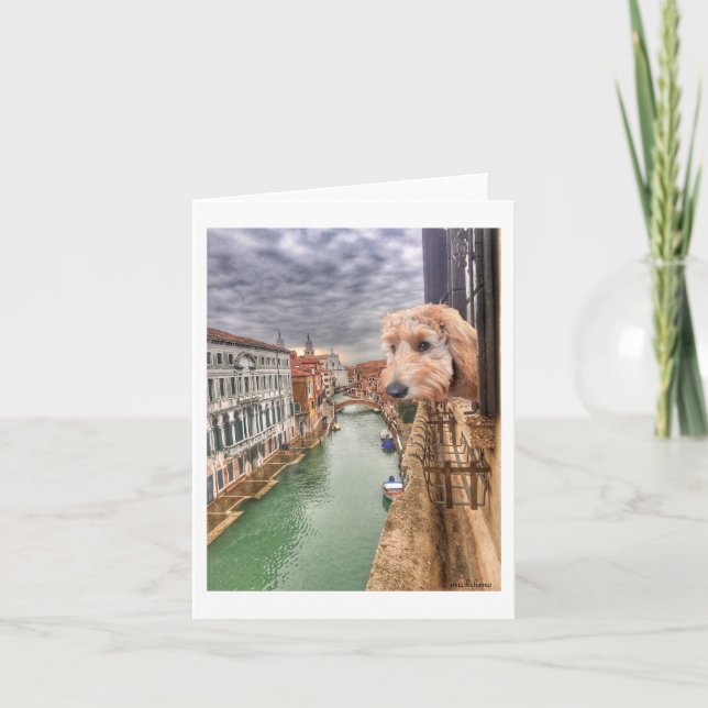 Ella Bella Banana kontrollerar synen på Venedigkan Tack Kort (Framsida)