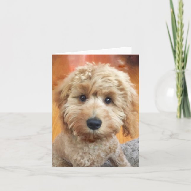 Ella Bella Banana puppy nära Tack Kort (Framsida)