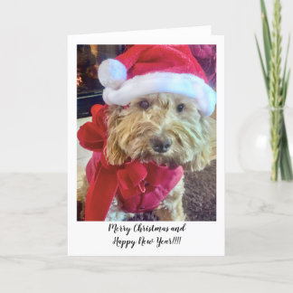 Ella Bella Banana Santa Tack Kort