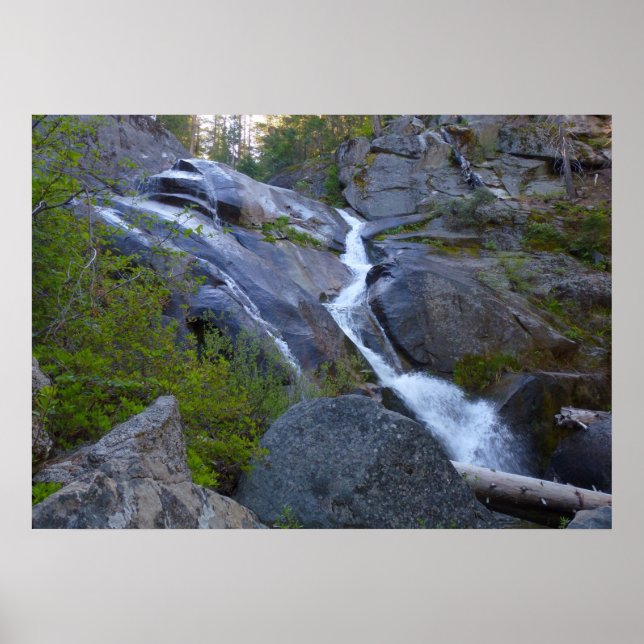Ella Falls i Sequoias nationalpark Poster (Framsidan)