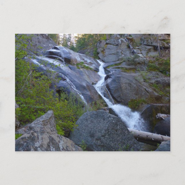Ella Falls vid Sequoia National Park Vykort (Framsida)